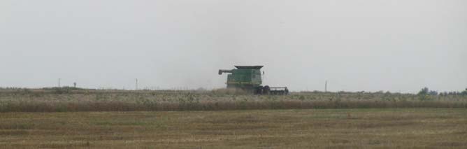 Власник комбайна John Deere у себе в офісі спостерігає за збиранням врожаю за допомогою системи GPSavto